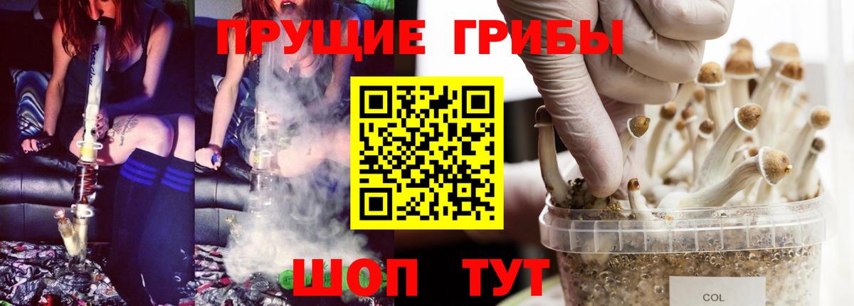 Псилоцибиновые грибы ЛСД Анапа