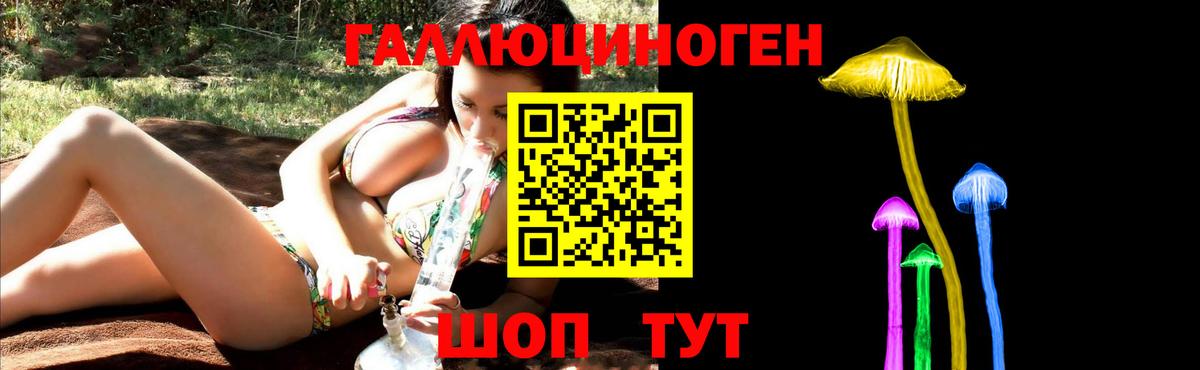 Галлюциногенные грибы Psilocybine cubensis  Вход с VPN  Анапа 